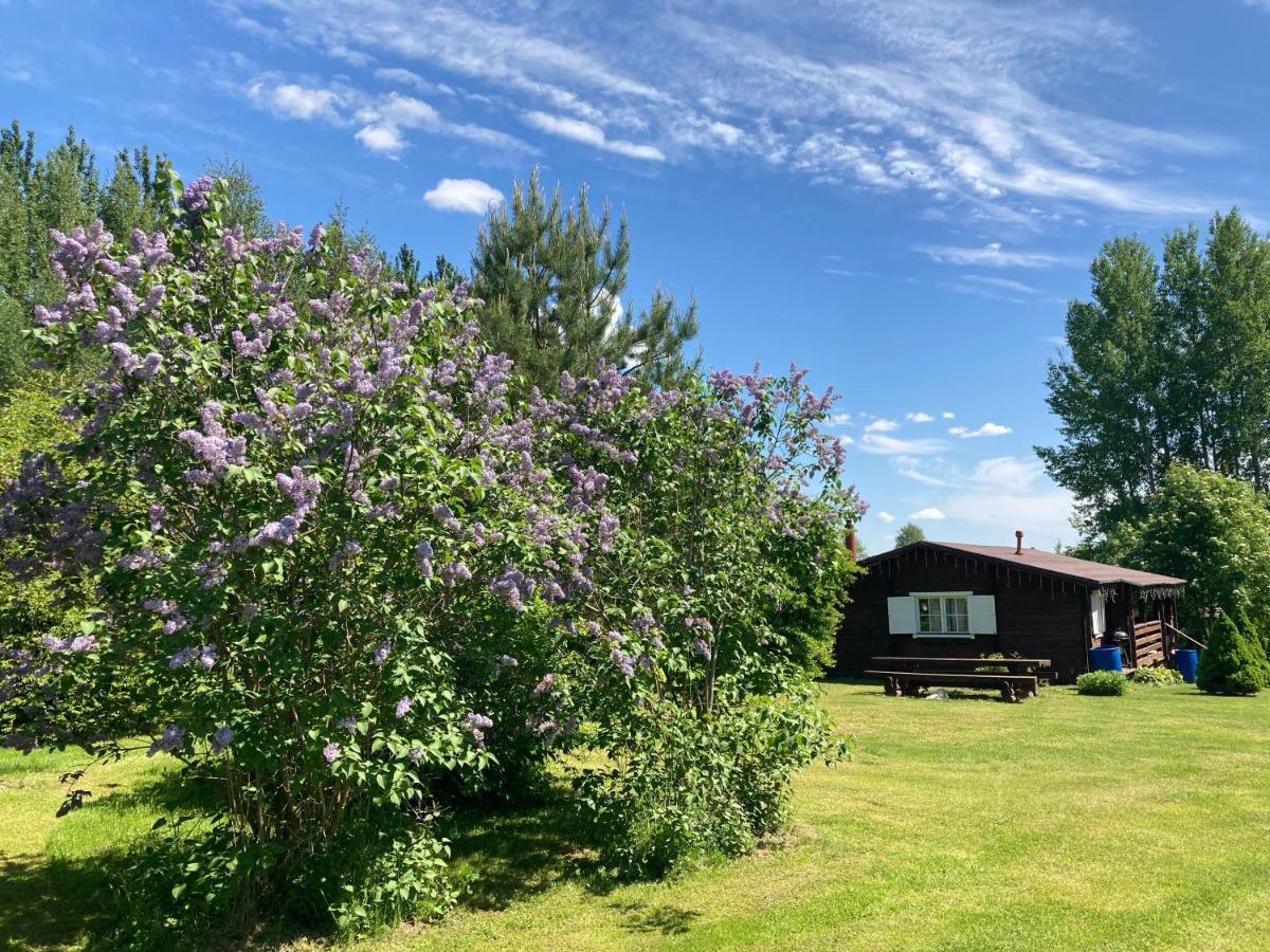 Villa Pikkjaerve Puhkemaja Tilsi Exterior foto